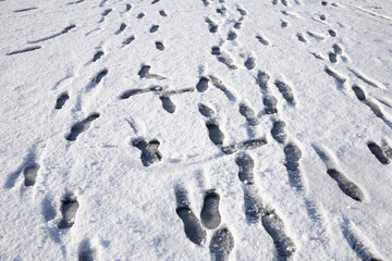 Lots of footprints in the snow.