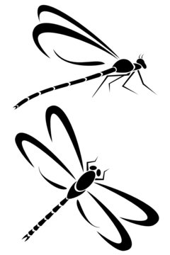 Two dragonfly tribal tattoos
