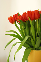 tulpenvase