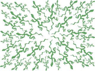 many many lizards