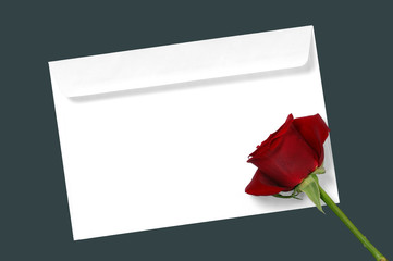 Rose bud on a letter