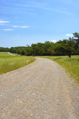 winding trail
