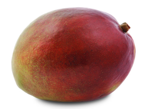 Tropical fruit mango