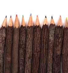 Colored pencils covered in tree bark