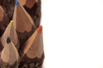 Bark covered colored pencils with room for text