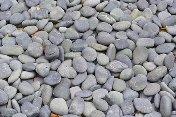 Gray Stone Background