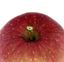 Red Apple Closeup