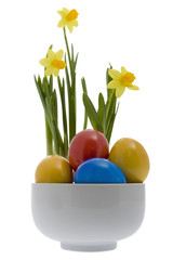 Ostereier mit gelben Narzissen
