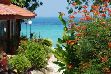 Beachview Ko Phi Phi