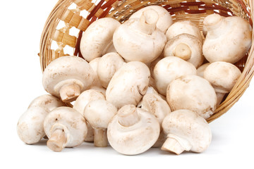 Fresh mushrooms in a basket