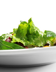 Fresh Salad
