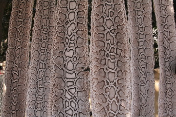 Traffic et commerce de peaux de serpents Phyton (Birmanie)