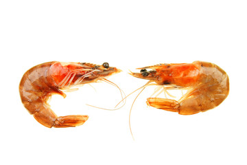 Two crevettes