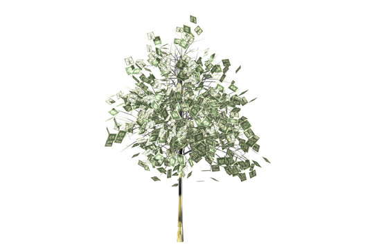 gold money tree with dollars leaf