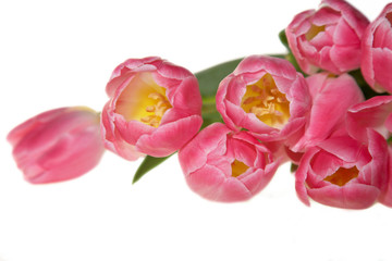Obraz na płótnie Canvas Spring pink Tulips bouquet
