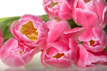 Fototapeta premium Spring pink Tulips bouquet