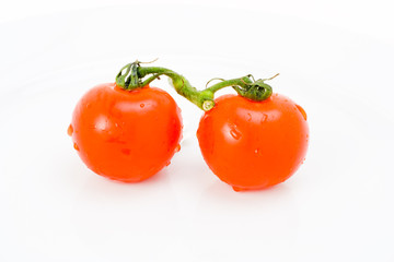 Pair of fresh tomatoes joined in vine