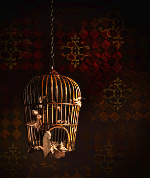 Old wooden bird cage with feathers