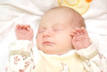 bebe