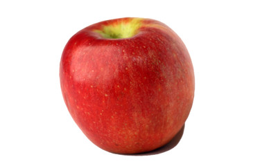 Isolate studio shot of apples