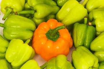 Bell peppers arranged at the market stand