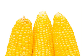 Corn cobs  isolated on the white background