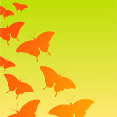 Schmetterling Vektor  Illustration