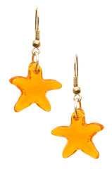 Pair of earrings isolated on the white background