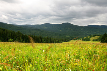 Altai