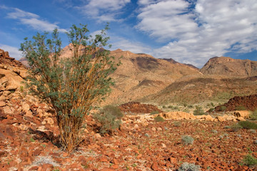 Desert landscape, Brandberg mountain, Namibia, Africa