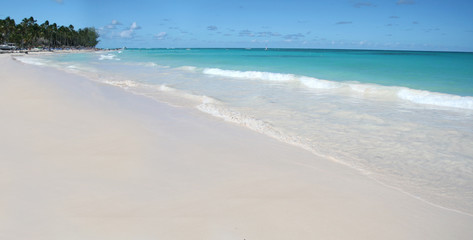 Tropical Paradise - White Sands Beach, Caribbean Ocean and Cocon