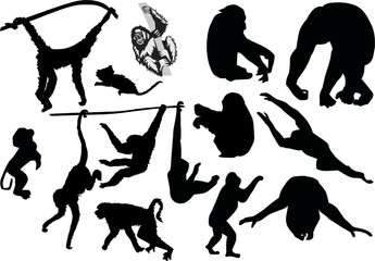 monkey silhouettes set © Alexander Potapov