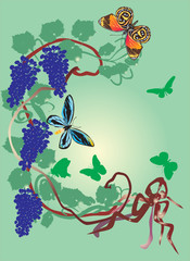 grapes and butterflies on green