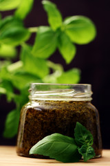 pesto