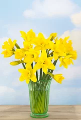 Crédence de cuisine en verre imprimé Narcisse Spring Daffodils