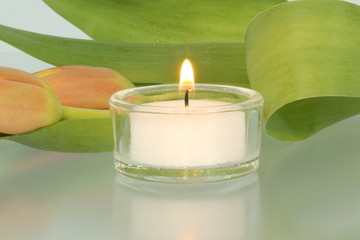 Kerze mit Tulpenknospe