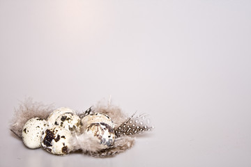 Fototapeta na wymiar bird eggs and feathers against white background