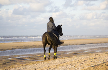 Girl on horseback rides on beach