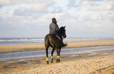 Fototapeta na wymiar Dziewczyna na koniu je¼dzi na plaży