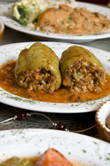 Orient Food Dolma