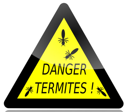 danger termites 2