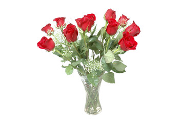 Roses for valentines