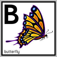 butterfly and english letter "B"