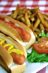 Hot dog and french fries