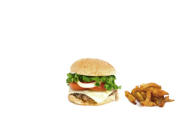 Burger and french fries