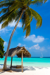 Swing on a tropical beach