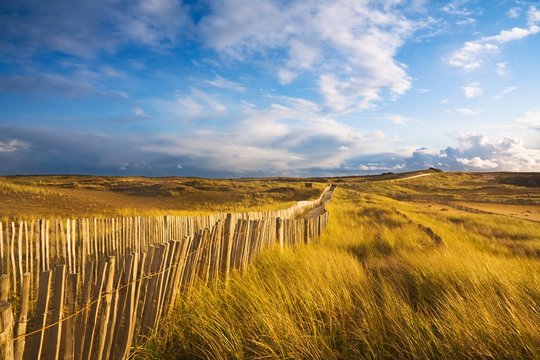La c&ocirc;te sauvage (Quiberon, Bretagne)