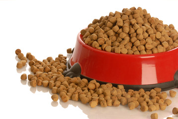 bowl of dog kibble overflowing in dog dish