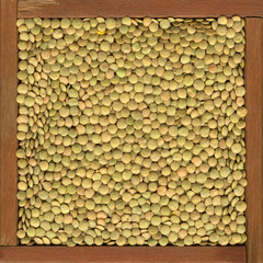 green lentils background