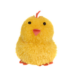 easter chick on white background